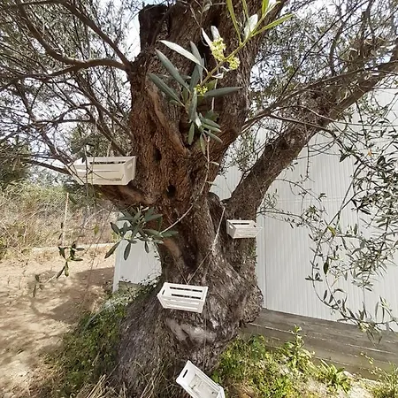 营地 Mary 's Retro Caravan