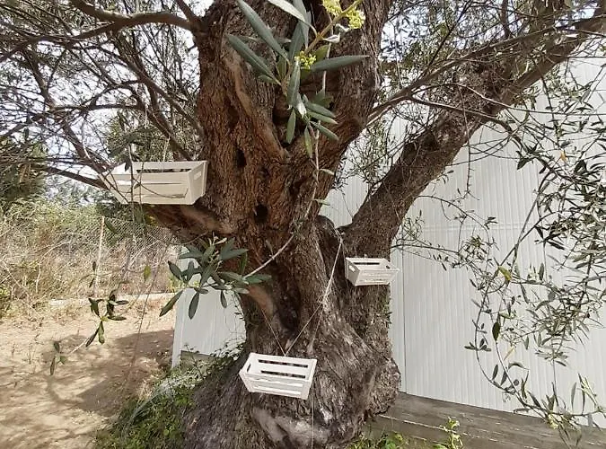 Campsite Mary 's Retro Caravan